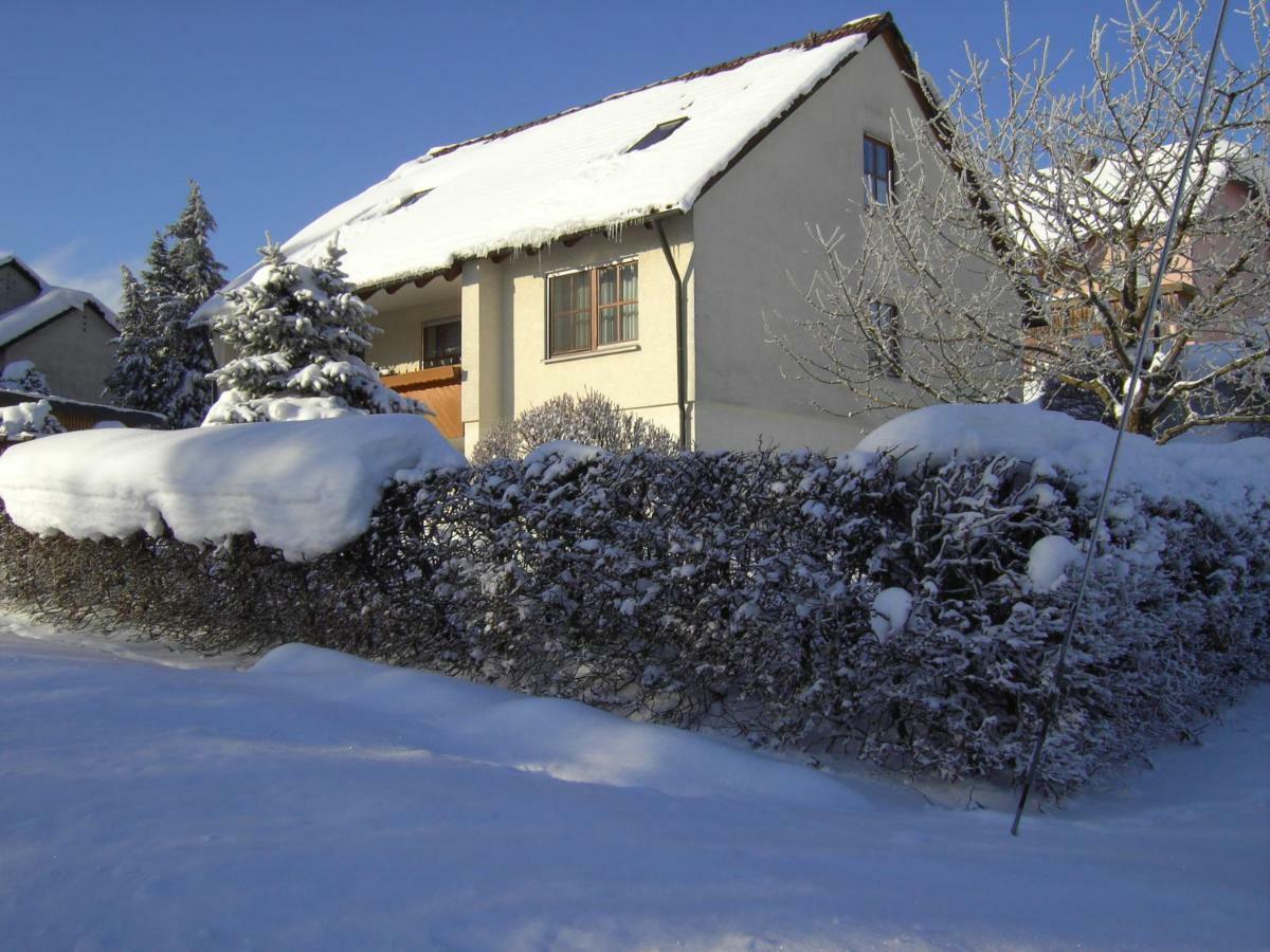 Ferienwohnung "Am Muschwitztal" Bad Steben / Carlsgrun المظهر الخارجي الصورة